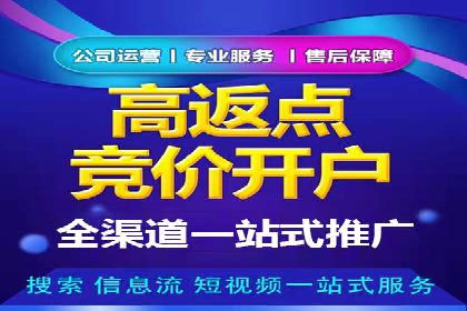 深度解析：SEM竞价优化提升ROI的案例